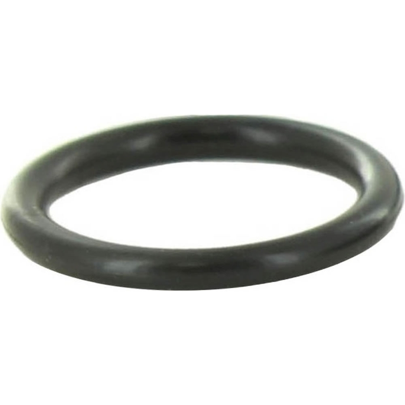 ALT O-Ring (Baxi) Image 1