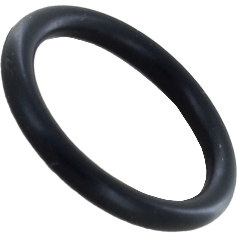 ALT Diaphragm (Baxi) Image 1