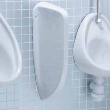Balmorals Urinal Divider 4238 Image 1