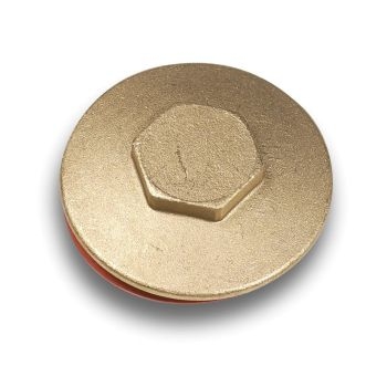 2 1/4" Immersion Heater Plug & Washer BFIHPWS Image 1