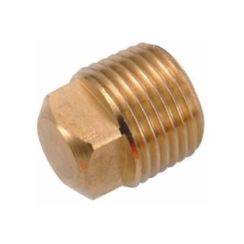 1/2" Brass Plug BRFP-D Image 1